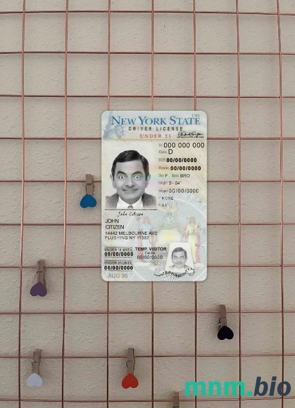 USA Nowy Jork prawo jazdy poniżej 21 lat photolook, w pełni edytowalny
